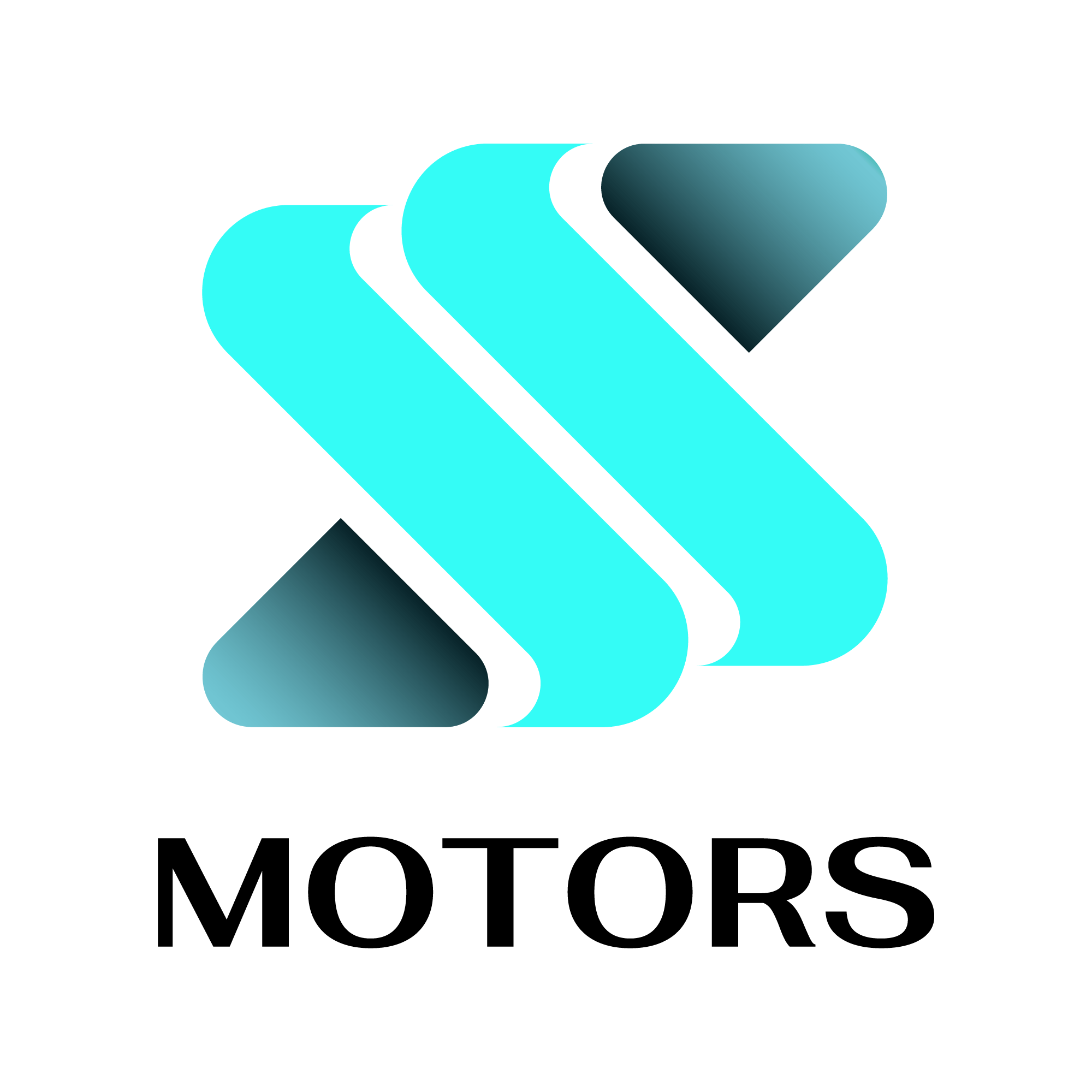 SS Motors Group